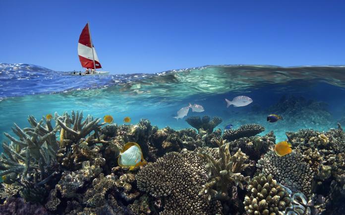 Sailing boat and coral reef - Maldives