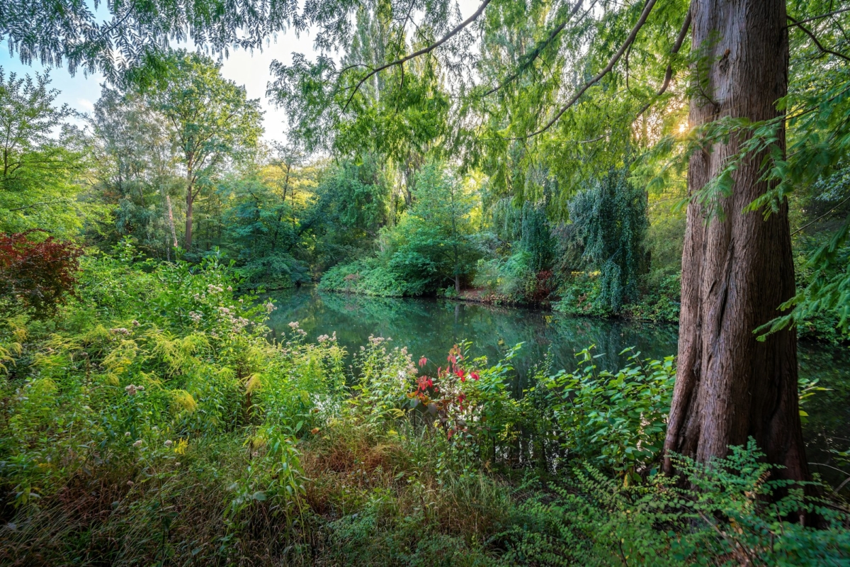 Tiergarten park - Berlin, Germany