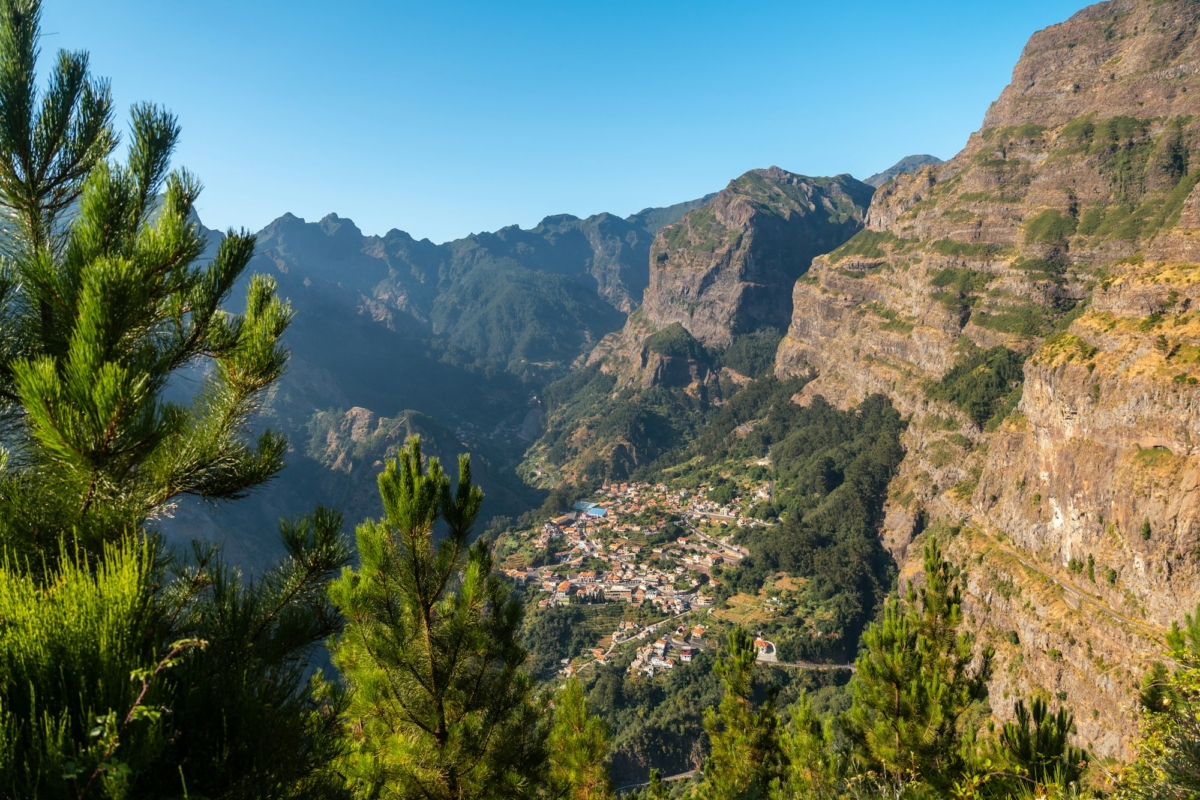 Vegetation from the Eira do Serrado viewpoint, Curral das Freiras, Madeira. Portugal