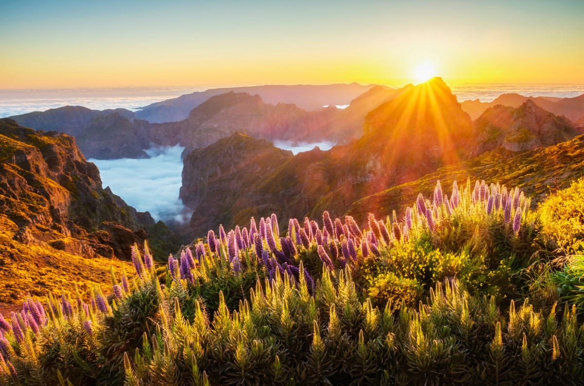 View from Pico do Arieiro, Portugal