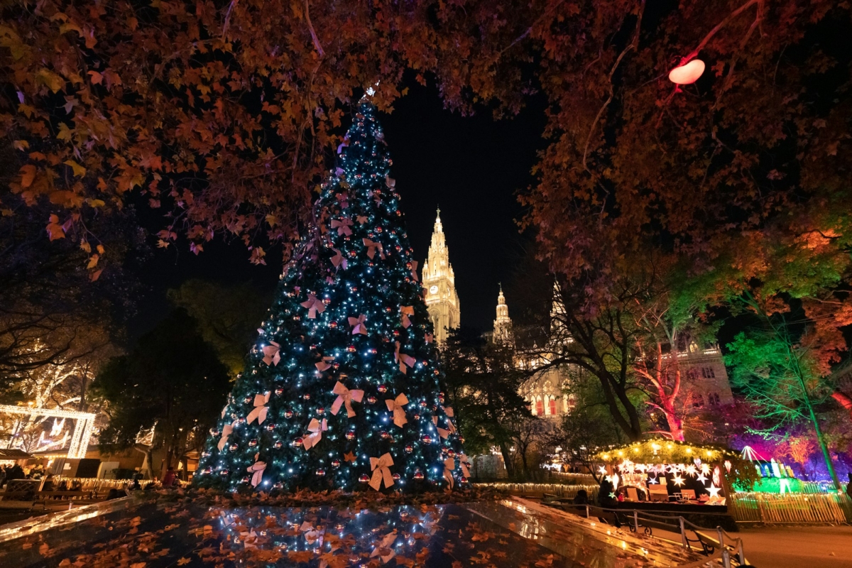 Christmas Tree at Vienna Christmas Market, Rathausplatz, Austria