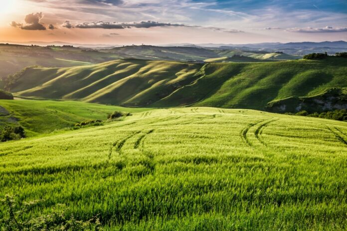 Beautiful view of the country footpath at sunset in Tuscany