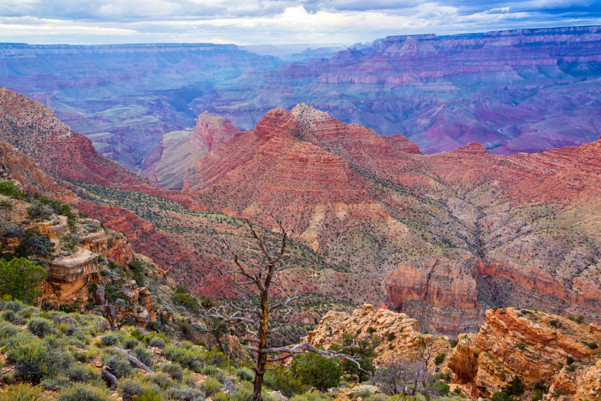 Colorful Grand Canyon View