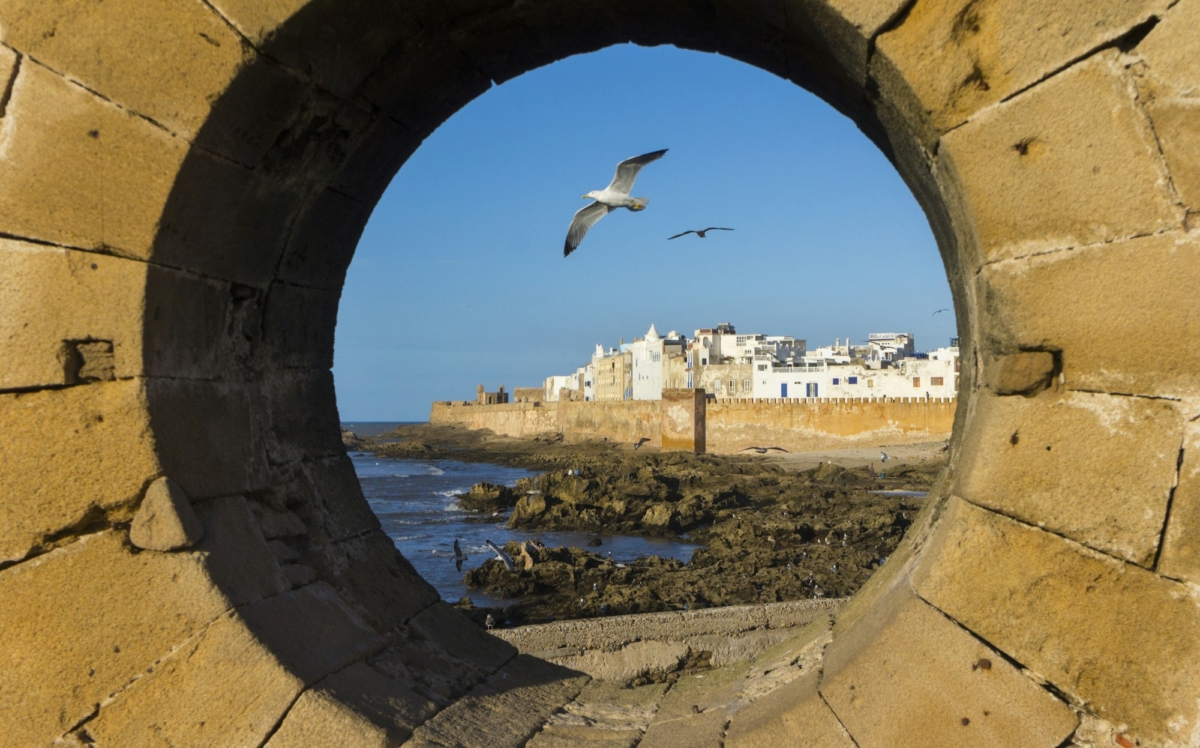 Gulls seen through port hole, Essaouira, Morocco