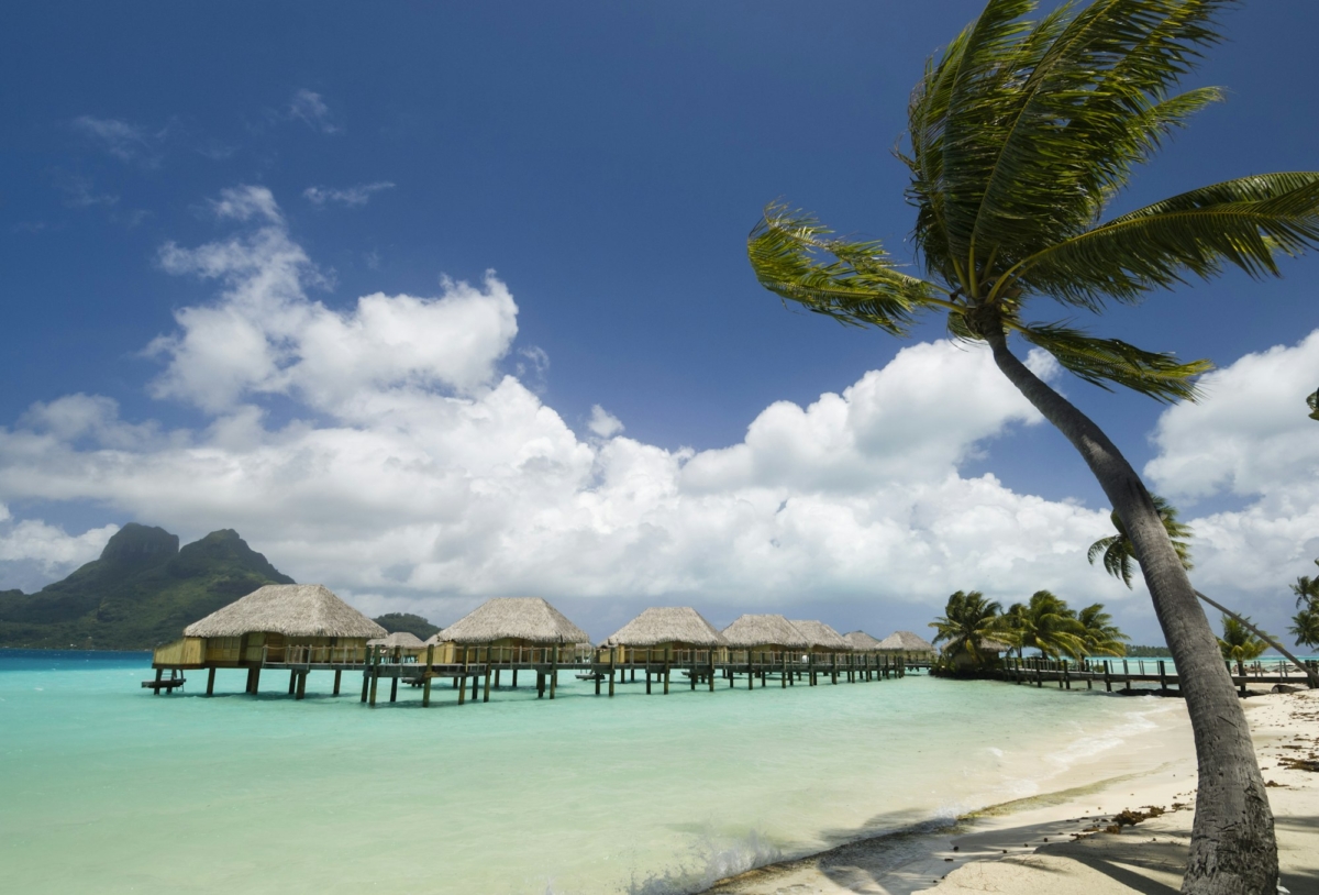 Palm trees and beach resort stilt houses, Bora Bora, French Polynesia
20 najpiękniejszych miejsc na świecie